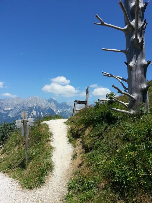 Kollerhof Apartment Itter Luaran gambar
